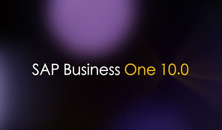 SAP Business One 10.0 一個全新的版本